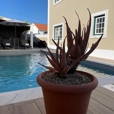 Ocean Country Gæstehus Freiria