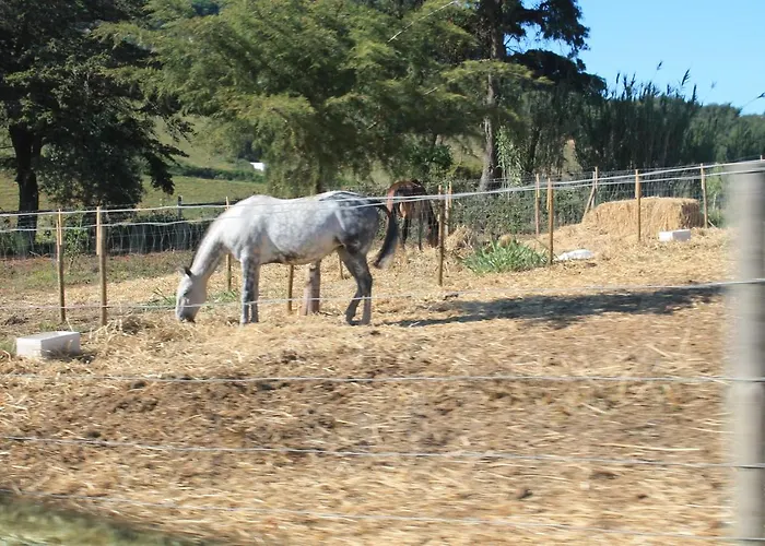 Ocean Country Freiria